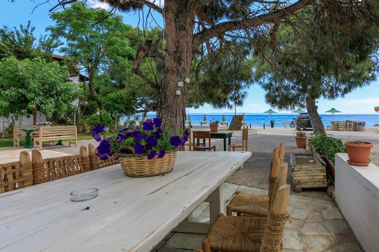 Agapitos Apartments Nikiti (Sithonia) Exterior foto